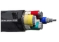 KEMA TUV 증명서 600/1000V PVC에 의하여 격리된 케이블 4는 PVC 전기 케이블을 응어리를 뺍니다 협력 업체