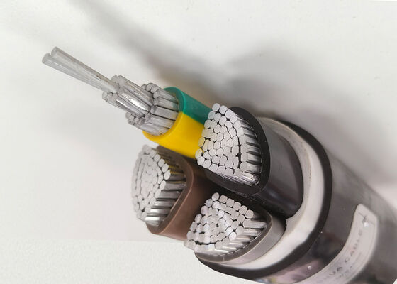 중국 Durable 0.6/1kV Aluminum PVC Insulated Cables for Reliable Low-Voltage Power Distribution 협력 업체