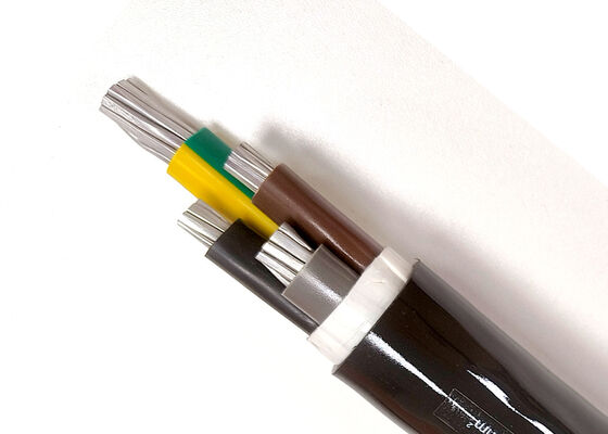 VV 3x16mm2 Oxygen-Free Copper PVC Insulated PVC Sheathed Power Cable for Indoor Installation 0.6/1kV 공급자