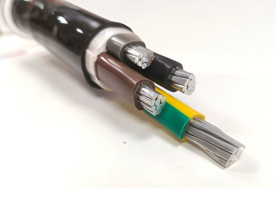NYY-O 1x300mm2 Oxygen-Free Copper PVC Insulated Single Core Power Cable for Distribution 0.6/1kV 공급자