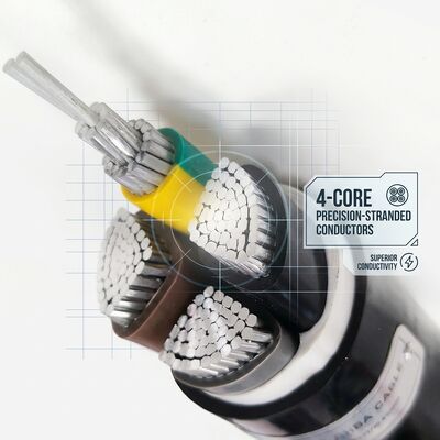 Waterproof Moisture Resistant PVC Insulated Cable 0.6/1kV 2 Core 2x4mm2 Outdoor Wet Area 공급자