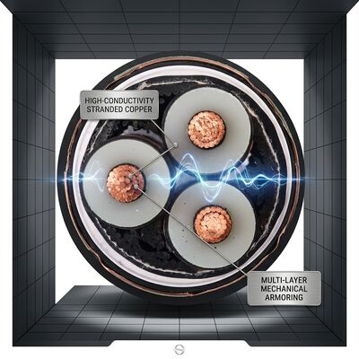 40 년 사용 기간 XLPE 단열 된 이중 철강 테이프 장갑 케이블 0.6/1kV 공급자