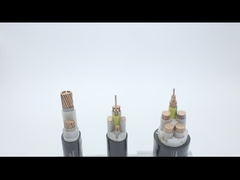 70Sqmm 동심선 XLPE 절연전력케이블 YJV N2XCY