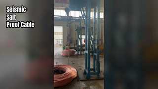 Shenghua 26 35kV 케이블 지진 염분 면역